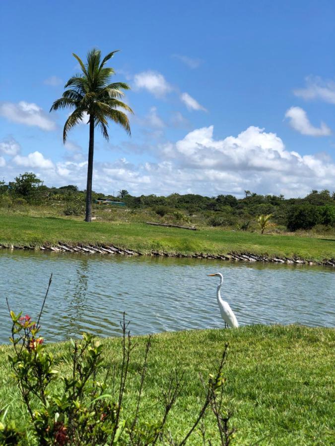 Appartamento O Paraiso Que Voce Merece Praia do Forte Esterno foto